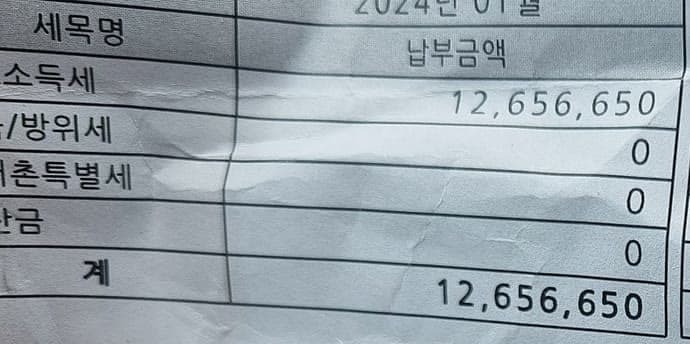 소득세 납부 내역